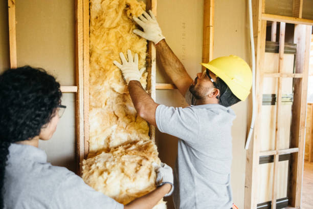 Best Insulation Air Sealing  in Lake Monticello, VA